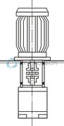 technical illustration-R901490342-Fixed displacement, size 122 cm³, pressure 175 bar, clockwise rotation, 600-1800 rpm, mounting flange SAE-C
